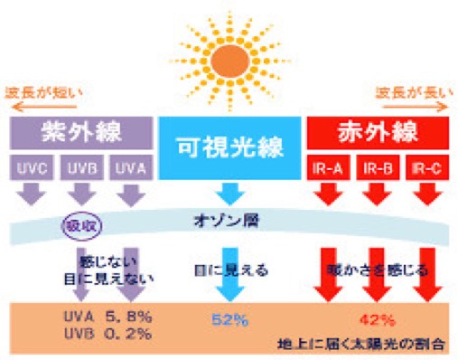 クリップボードから